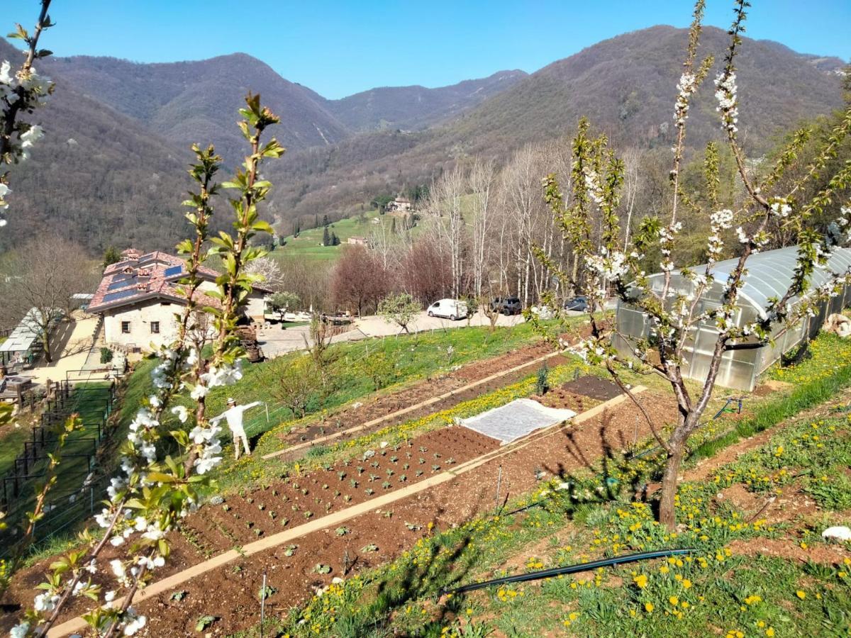 Agriturismo Ca' Fenile 알자노 롬바르도 외부 사진