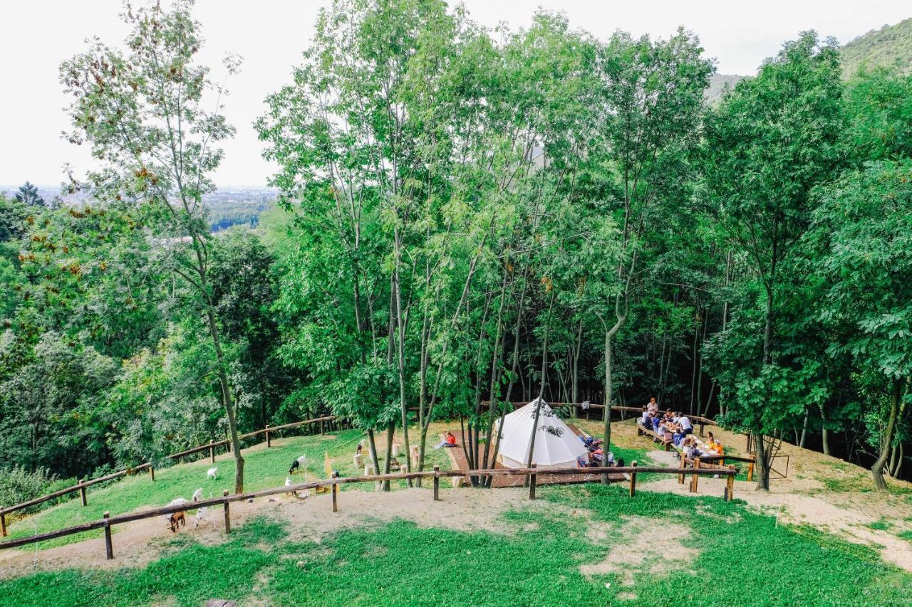 Agriturismo Ca' Fenile 알자노 롬바르도 외부 사진