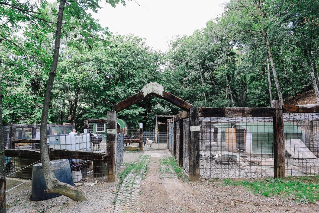 Agriturismo Ca' Fenile 알자노 롬바르도 외부 사진