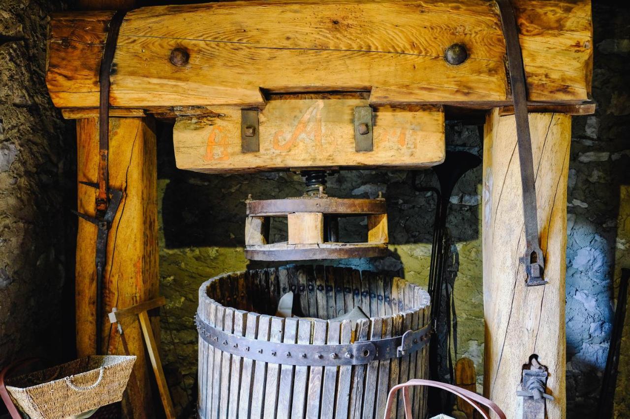Agriturismo Ca' Fenile 알자노 롬바르도 외부 사진