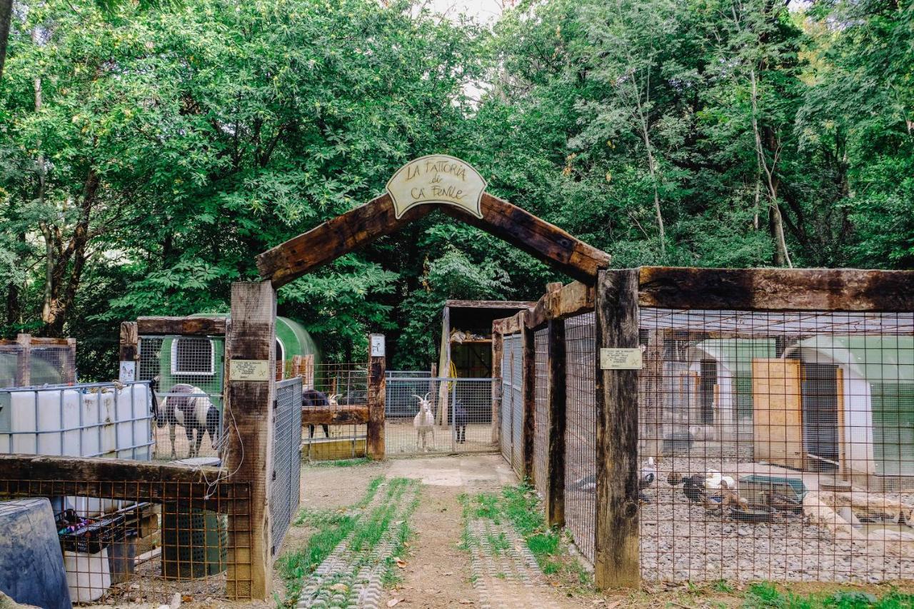 Agriturismo Ca' Fenile 알자노 롬바르도 외부 사진