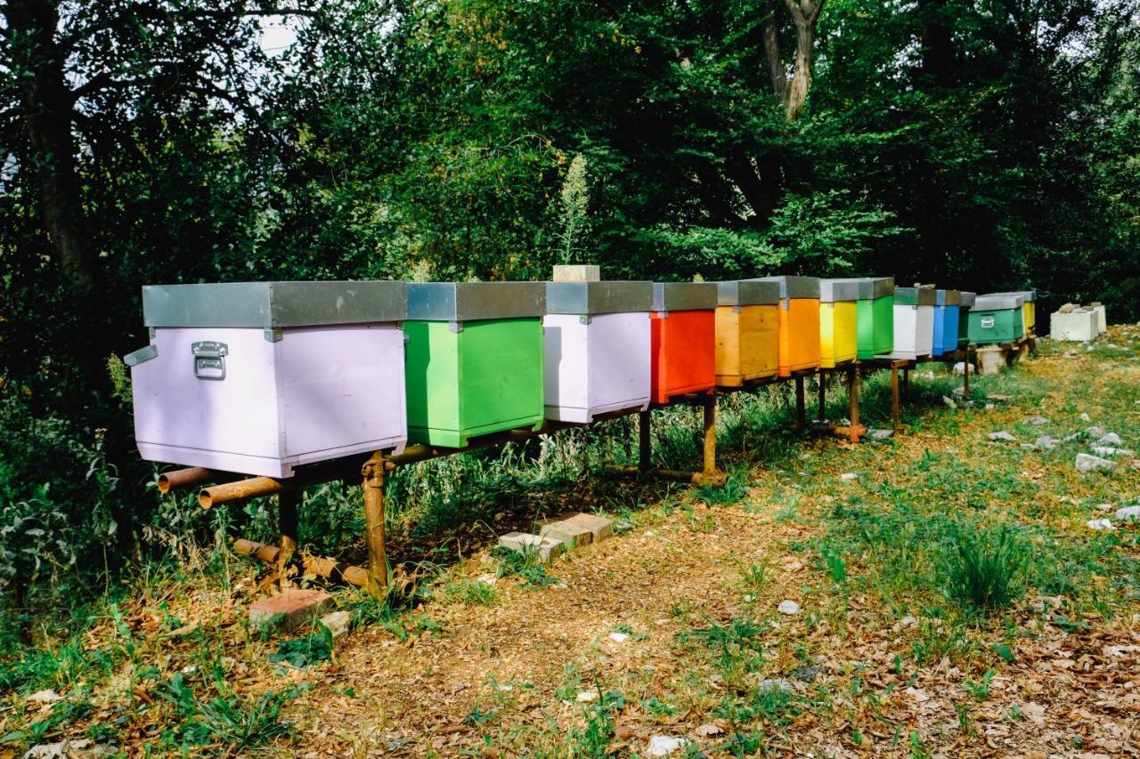 Agriturismo Ca' Fenile 알자노 롬바르도 외부 사진