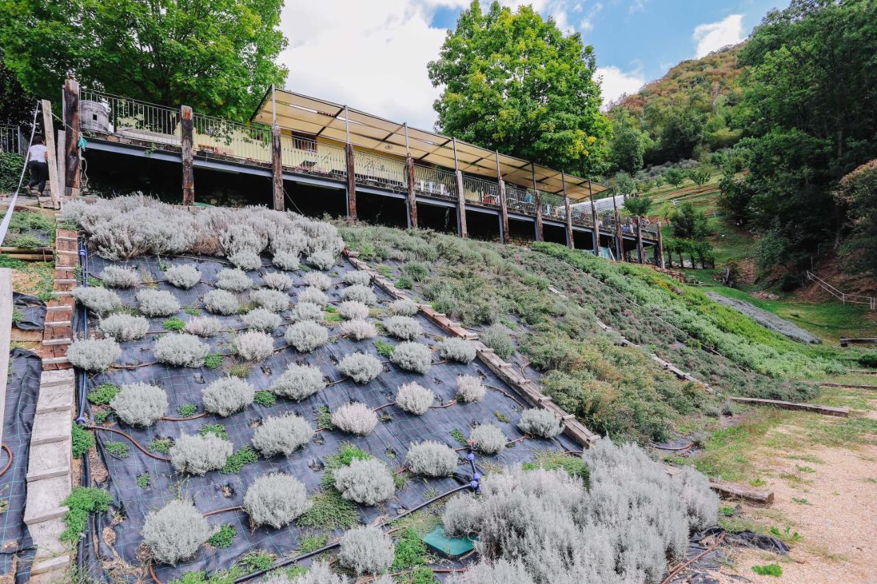 Agriturismo Ca' Fenile 알자노 롬바르도 외부 사진