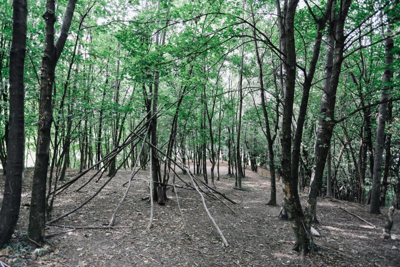 Agriturismo Ca' Fenile 알자노 롬바르도 외부 사진