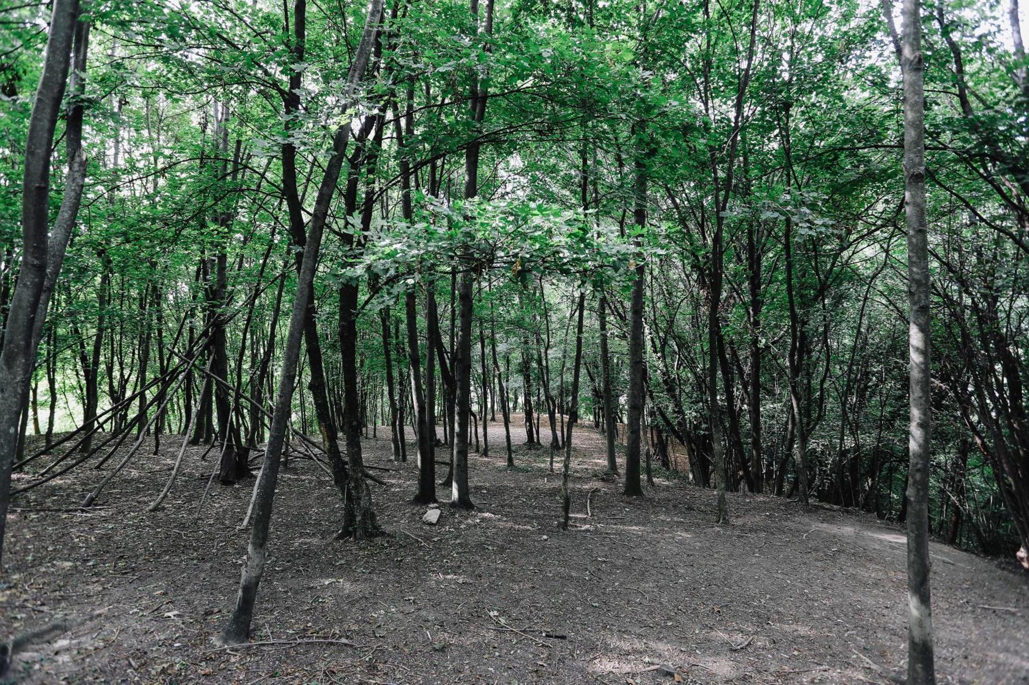 Agriturismo Ca' Fenile 알자노 롬바르도 외부 사진
