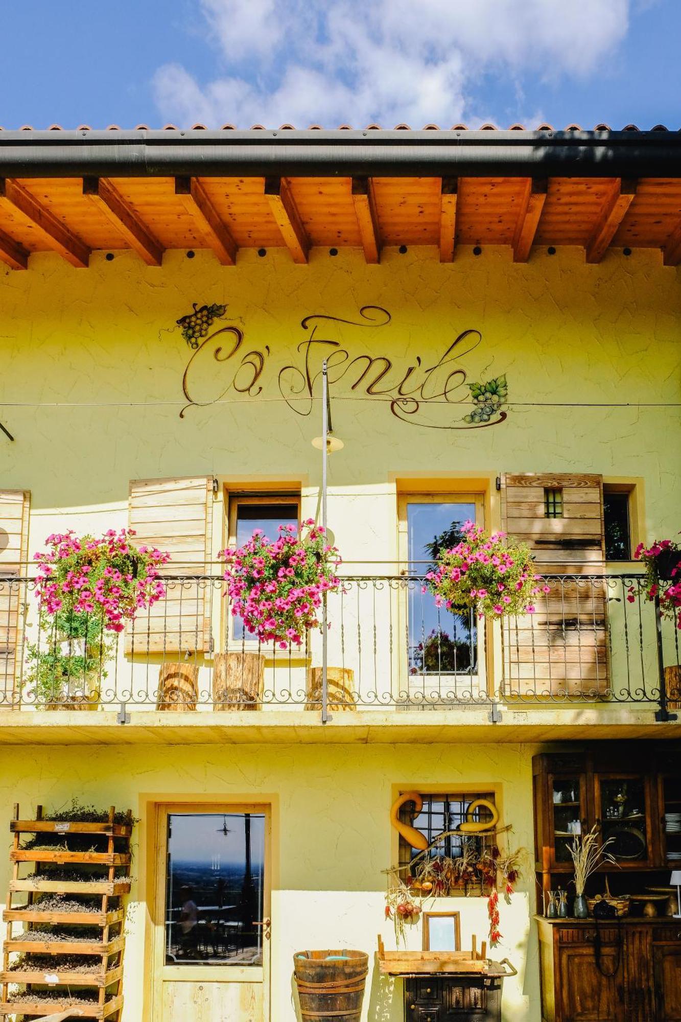 Agriturismo Ca' Fenile 알자노 롬바르도 외부 사진