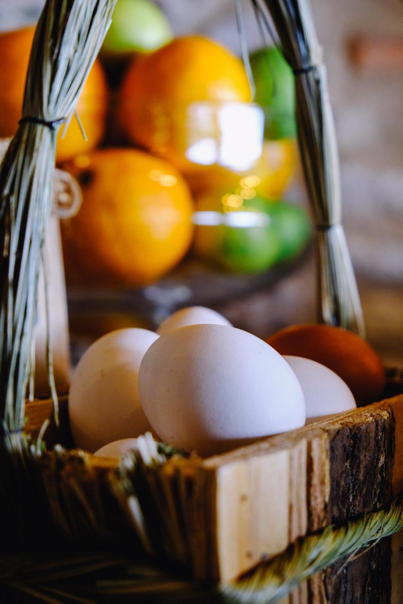Agriturismo Ca' Fenile 알자노 롬바르도 외부 사진